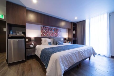 Standard Room | 1 bedroom, premium bedding, down comforters, minibar