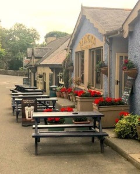 The Derg Inn, Terryglass