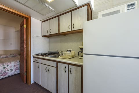 Full-size fridge, microwave, stovetop