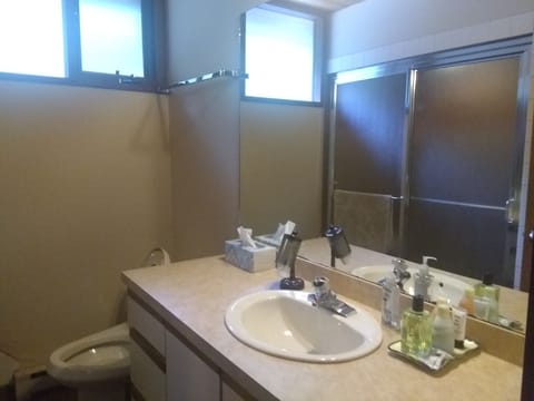 1 Bedroom 1 Bath | Bathroom | Shower, free toiletries, hair dryer, towels