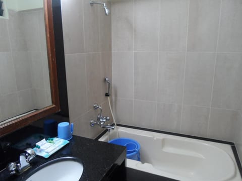 Shower, free toiletries, bidet, towels