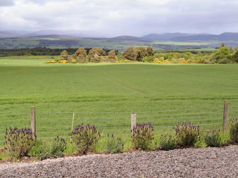 Picturesque open countryside views | Moonshine Cottage, Culbokie, near Dingwall