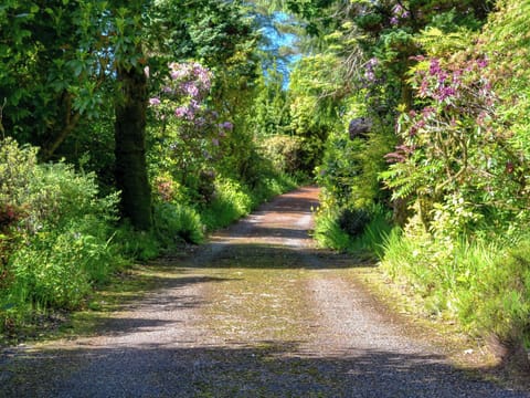 Driveway | Dunyvaig, Colintraive, near Dunoon