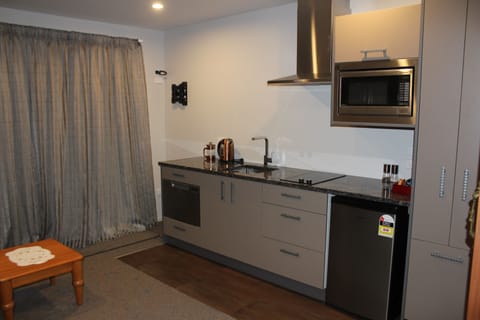 Standard Apartment | Private kitchen | Fridge, microwave, stovetop, dishwasher