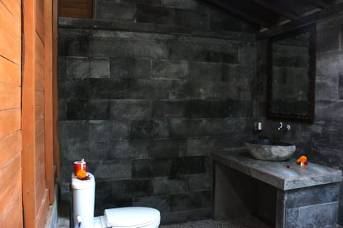 Deluxe Bungalow | Bathroom | Shower, bidet, towels, soap