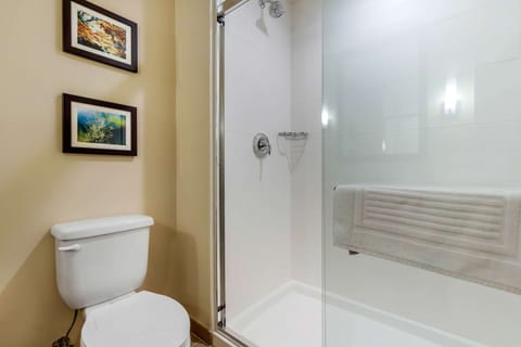 Standard Room, 1 King Bed, Non Smoking | Bathroom | Hair dryer, towels