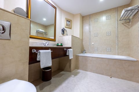 Separate tub and shower, hair dryer, bathrobes, slippers