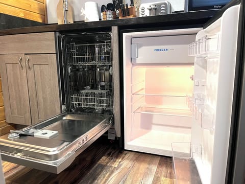 Dishwasher and mini fridge.