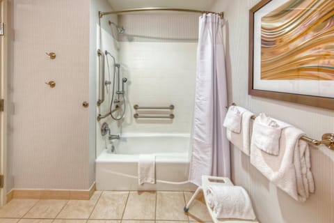 Combined shower/tub, free toiletries, hair dryer, towels