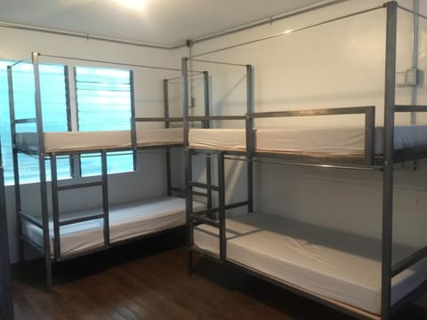 Bed in 4-Bed Male Dormitory Room | Free WiFi