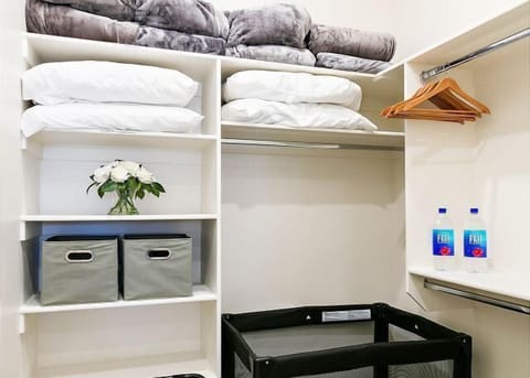 Large walk-in closet with luggage rack and pack and play
