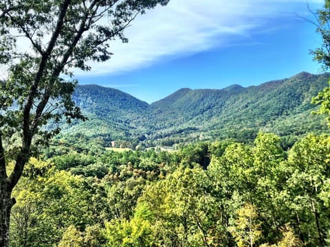 view of Smokies from deck