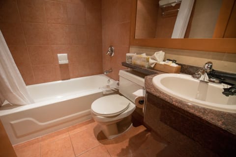 Deluxe Condo, 1 Bedroom | Bathroom | Combined shower/tub, eco-friendly toiletries, hair dryer, towels
