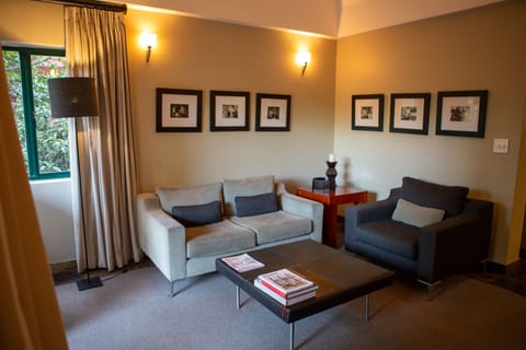 Suite | Living room | 66-cm TV with satellite channels, fireplace, iPod dock