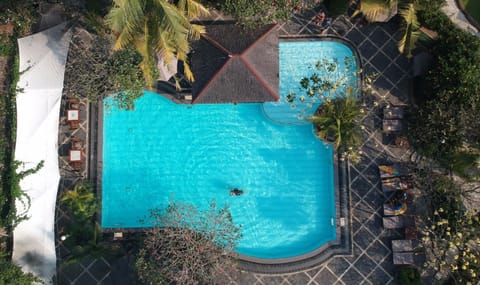 Outdoor pool, sun loungers