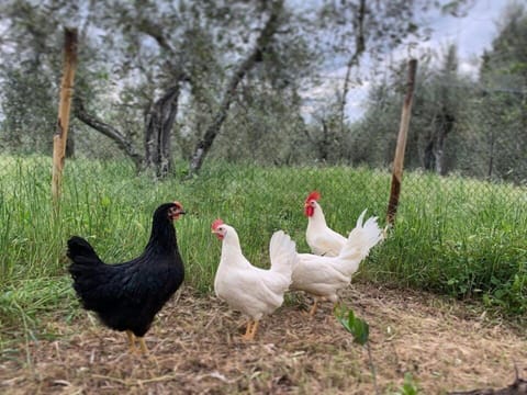 Children's activities