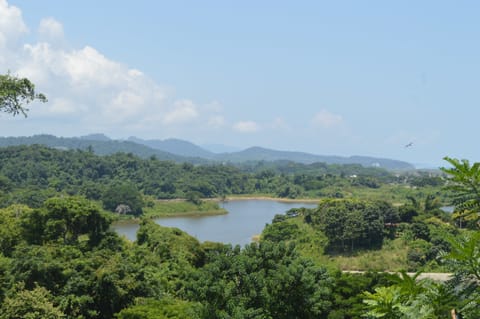 Land view from property