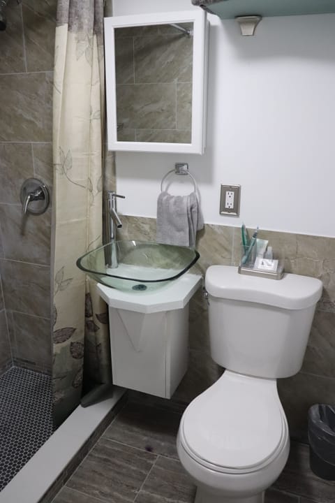 Suite 1 | Bathroom | Free toiletries, towels