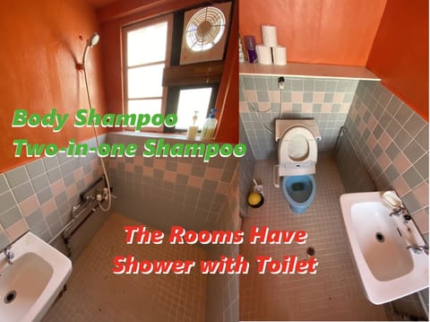 Shower, free toiletries, hair dryer, electronic bidet