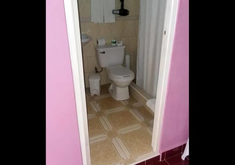 Deluxe Triple Room | Bathroom | Shower, rainfall showerhead, free toiletries, hair dryer