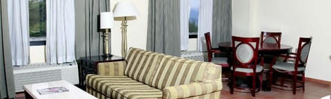 Standard Suite | Living area | Flat-screen TV
