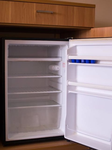 Mini-refrigerator