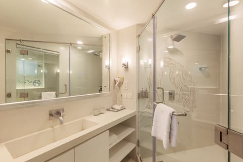 Sattva Room | Bathroom | Free toiletries, hair dryer, bathrobes, slippers
