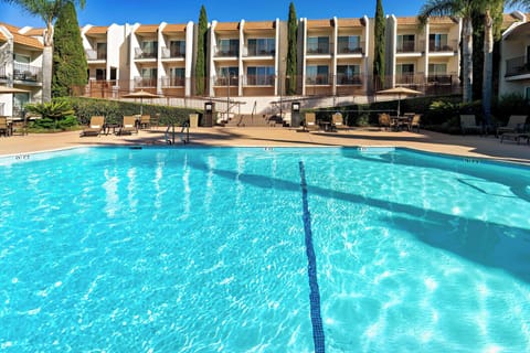 Outdoor pool, a heated pool, sun loungers