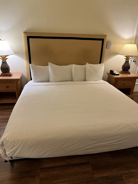 Room, 1 King Bed, Accessible | Premium bedding, pillowtop beds, desk, blackout drapes