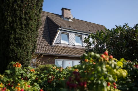 Windows of apartment Wiese & Watt