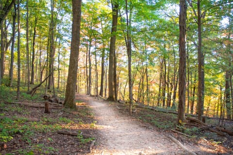 Hiking