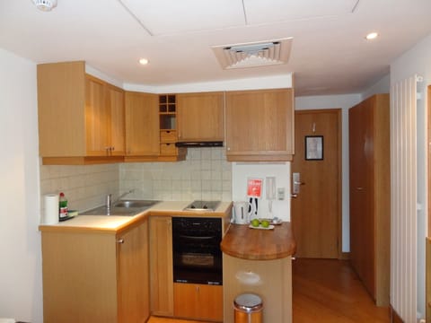 Standard Studio | Private kitchen | Fridge, microwave, electric kettle, cookware/dishes/utensils