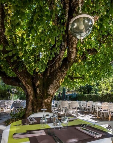 Lunch and dinner served, French cuisine