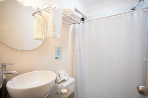 Family Suite | Bathroom | Shower, designer toiletries, hair dryer, towels