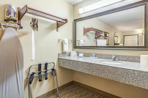 Standard Room, 1 King Bed, Non Smoking, Refrigerator & Microwave | Bathroom | Combined shower/tub, hydromassage showerhead, free toiletries