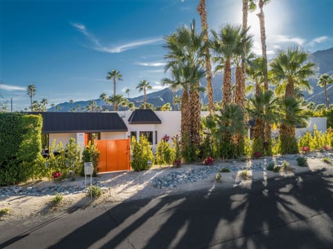 Welcome to The Estate Palm Springs in Little Italy!