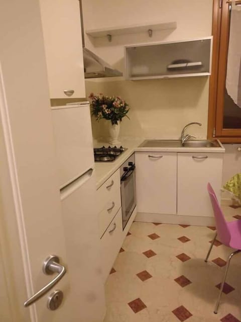 Apartment, 1 Bedroom, Lake View | Private kitchen | Toaster, griddle, mixer, freezer