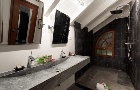 Grand Loft | Bathroom | Shower, deep soaking tub, rainfall showerhead, designer toiletries