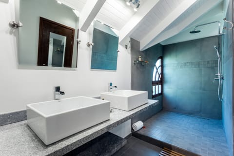 Deluxe Loft | Bathroom | Shower, deep soaking tub, rainfall showerhead, designer toiletries