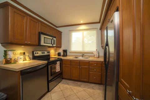 Deluxe Apartment | Private kitchen | Fridge, microwave, oven, stovetop