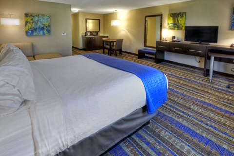 Premium Room, 1 King Bed | In-room safe, desk, laptop workspace, iron/ironing board