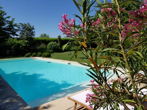 Seasonal outdoor pool, open 10:00 AM to 7:00 PM, sun loungers