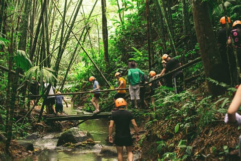 Hiking