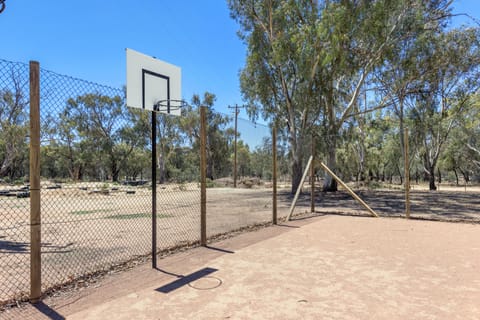 Basketball court