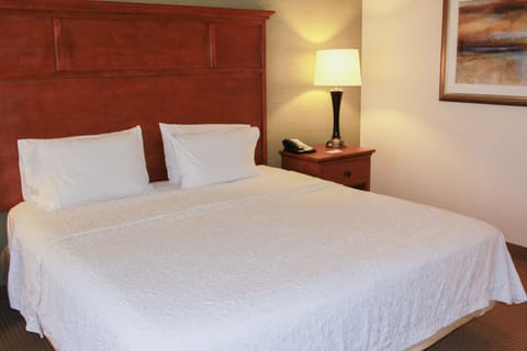 Room, 1 King Bed, Accessible, Non Smoking | Desk, blackout drapes, iron/ironing board, free WiFi