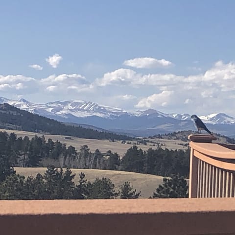 You'll see bluebirds, hummingbirds, and deer while sitting on the front porch. 