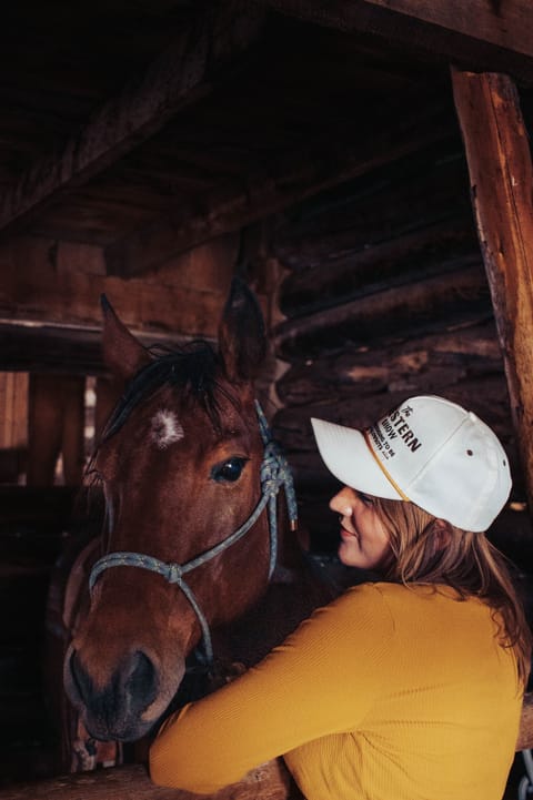 Horseback riding