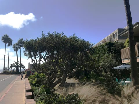 C7StepsFromOcean - The patio is just steps from the beach!