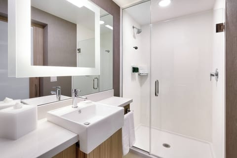 Suite, 1 King Bed | Bathroom | Shower, free toiletries, hair dryer, towels