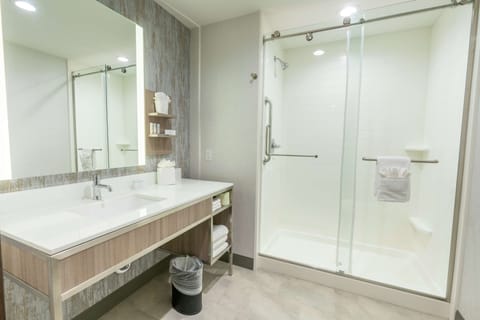 Room, 1 King Bed | Bathroom shower